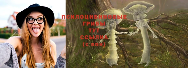 соль ск Алексеевка