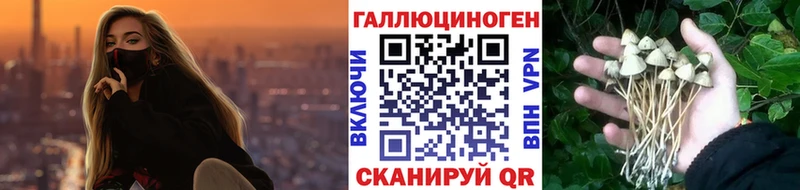 сколько стоит Якутск shop какой сайт Галлюциногенные грибы прущие грибы