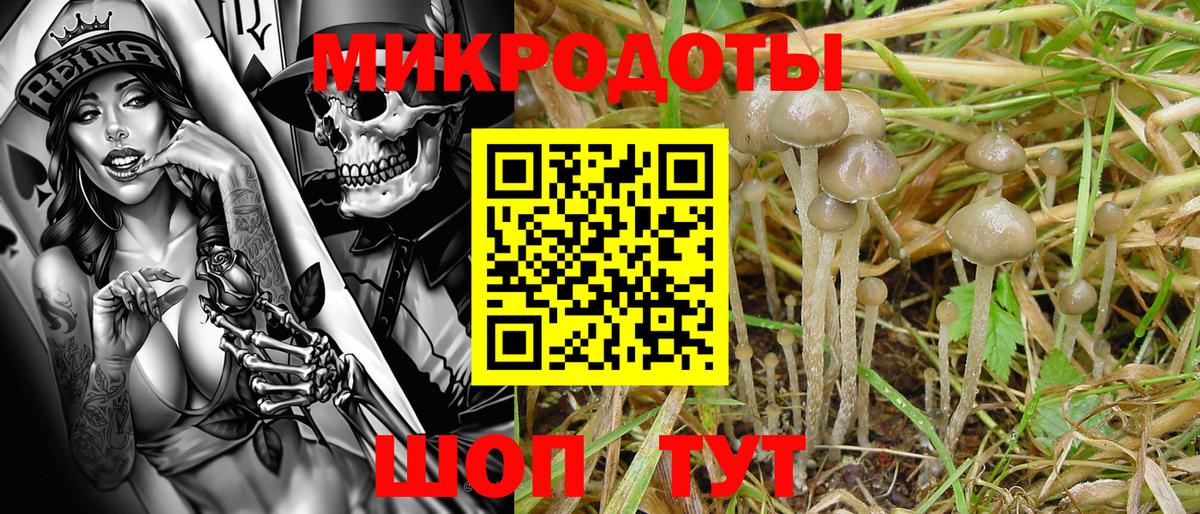 Псилоцибиновые грибы мицелий  Вход с VPN  Якутск 
